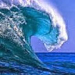 Meet your Posher, Evan